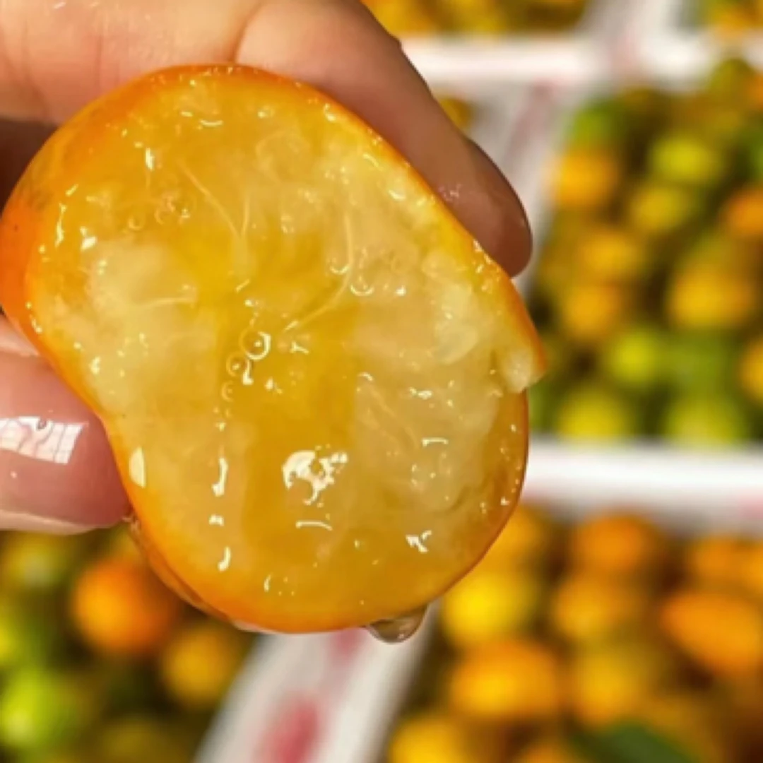 树上熟脆蜜金桔广西4斤装