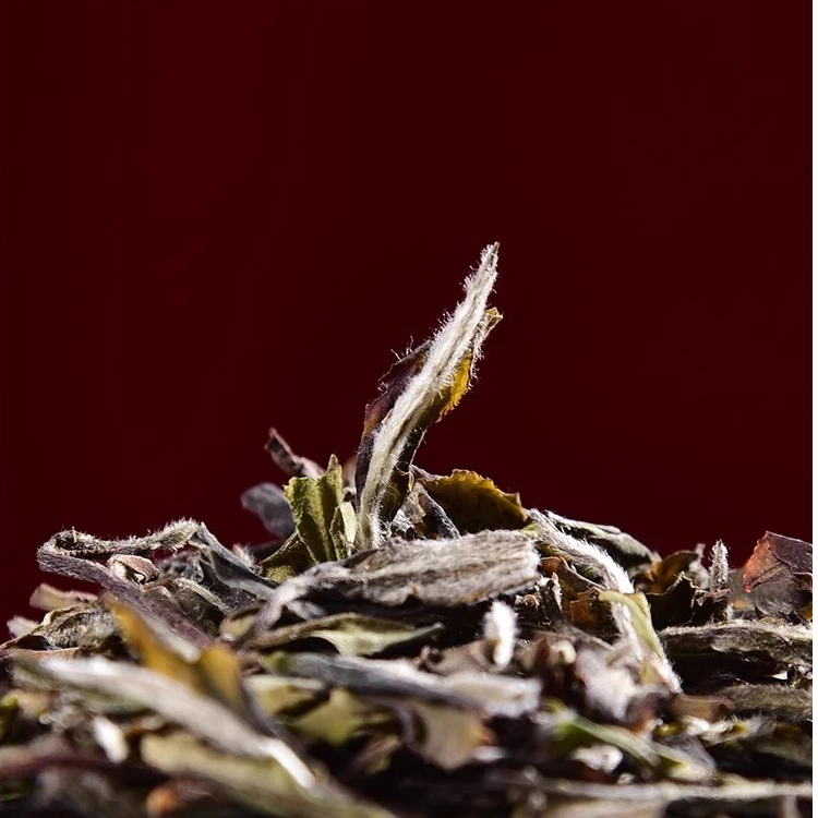 森绅小罐福鼎白茶2019年牡丹