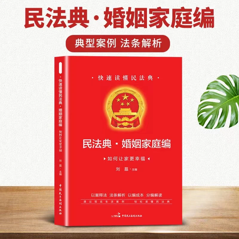 民法典婚姻家庭 婚姻法继承法书籍 快速读懂民法典民法类书籍