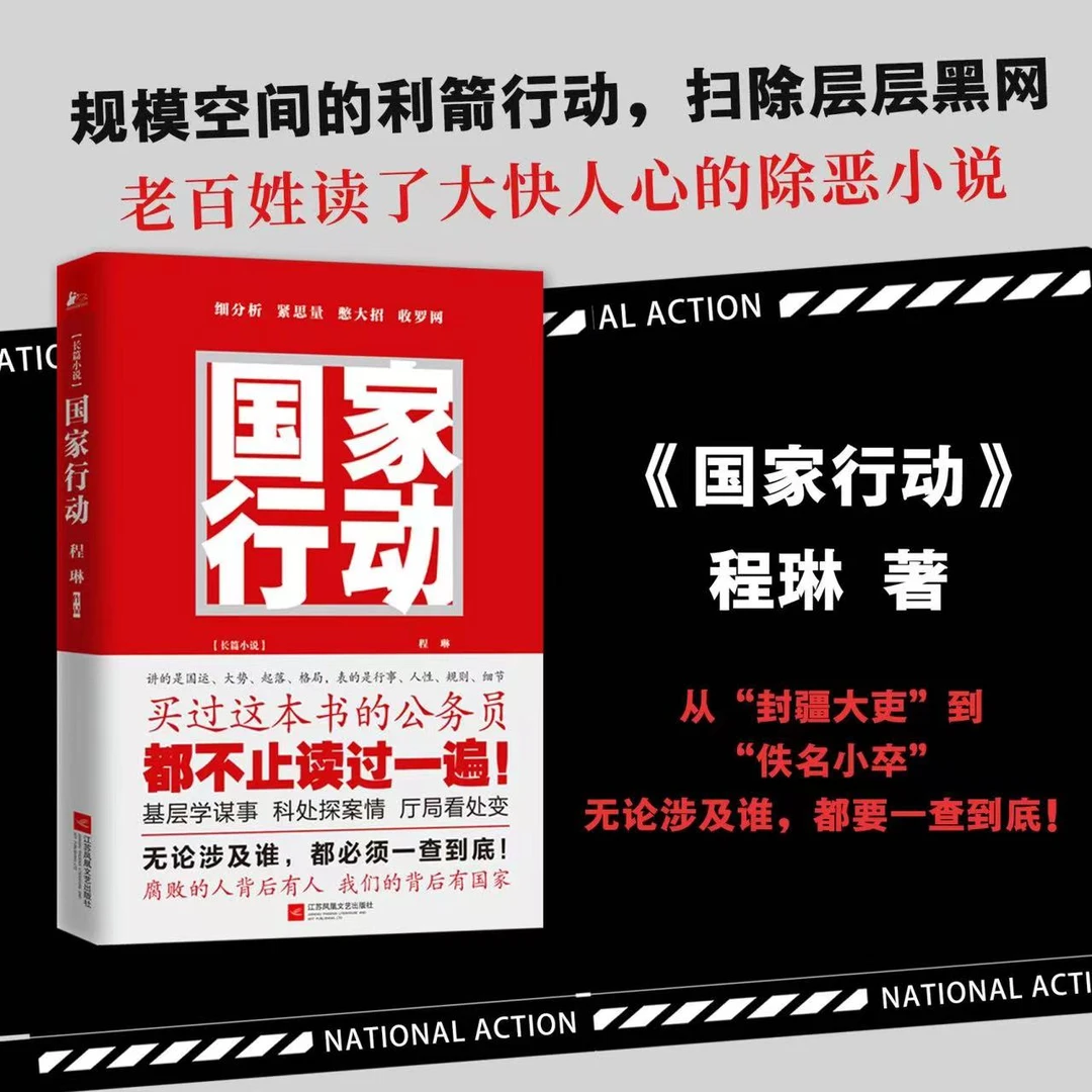 公务员必看 国家行动 追问 二月河张译主演反腐刑侦打黑反贪小说