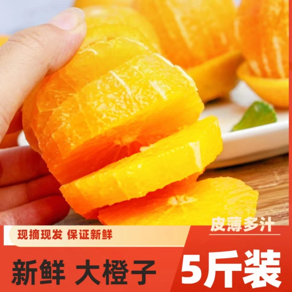 纽荷尔脐橙秭归脐橙新鲜应季水果超甜薄皮非冰糖橙赣南的橙子