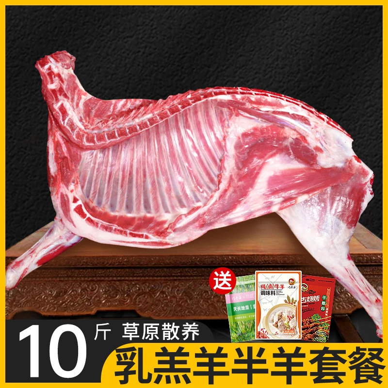 【年夜饭】正宗新鲜乳羔羊半只10斤羊排羊蝎子羊后腿肉过年送礼1