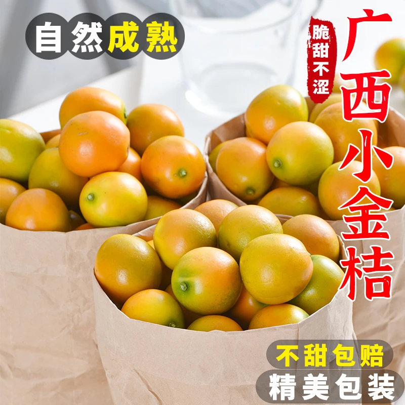 【脆爽冰糖芯】广西脆皮金桔1-5斤滑皮金桔新鲜小橘子纯甜2