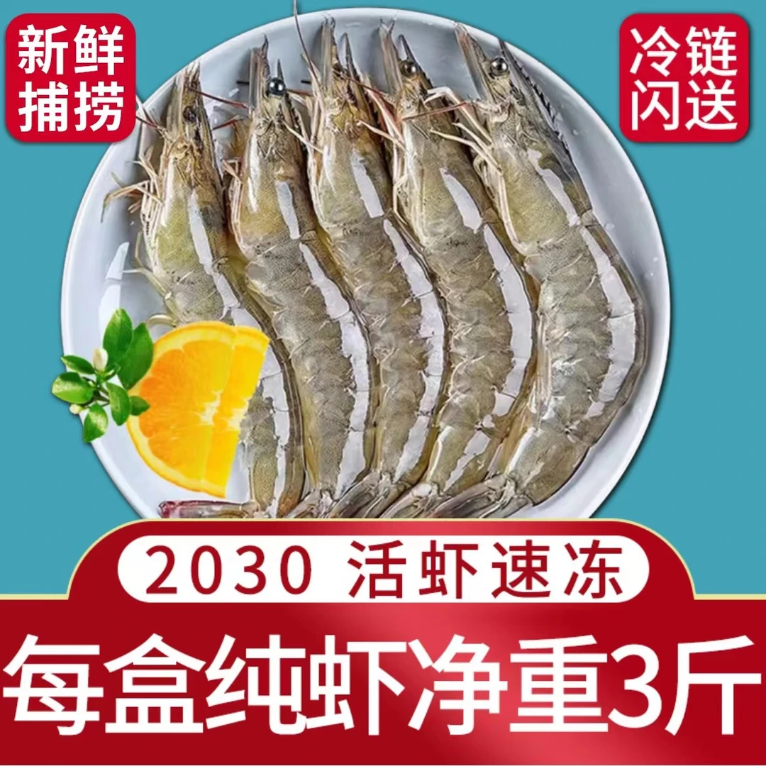 【大窑】气冻2030青岛海洋大虾鲜活东方海虾更多冻虾生鲜海鲜直播