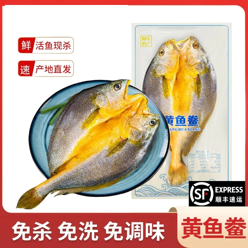 黄鱼鲞开背新鲜冷冻黄花鱼三免大黄鱼生鲜海小黄鱼烧烤商用半成品