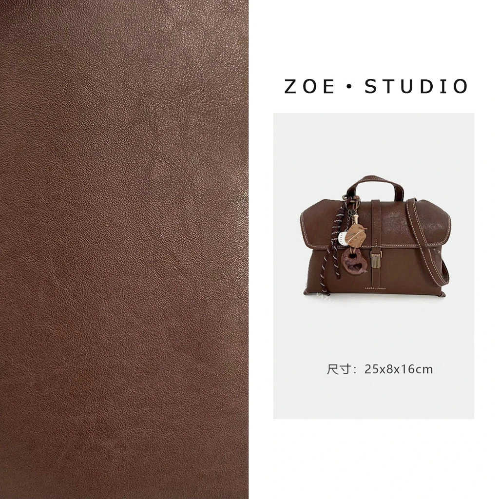 【佐伊甄选】SD-3911-古早咖啡轻奢女士时尚通勤气质小众百搭斜挎包