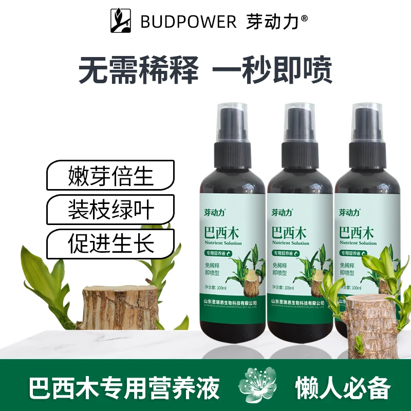 芽动力巴西木营养液巴西木专用营养液巴西木水培营养液养巴西木