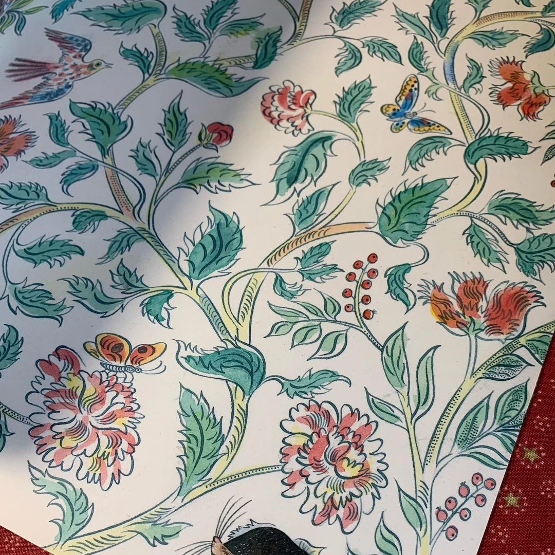 【婷总专属】默认瑕疵，文学/儿童涂色素材，乱拍则随机发素材