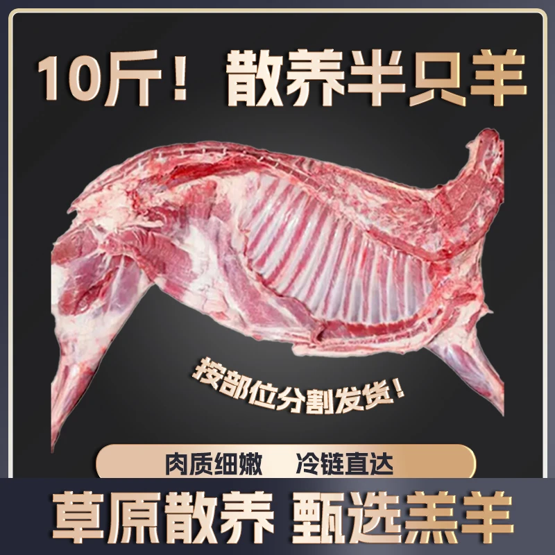 半只羊原切散养羔羊10斤羊肉冷冻羊蝎子羊排羊后腿（不带礼盒）RJ
