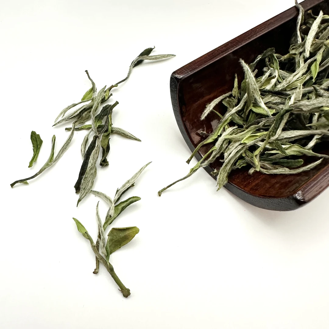 喜可得「牡丹王」2024年 荒野老树牡丹王