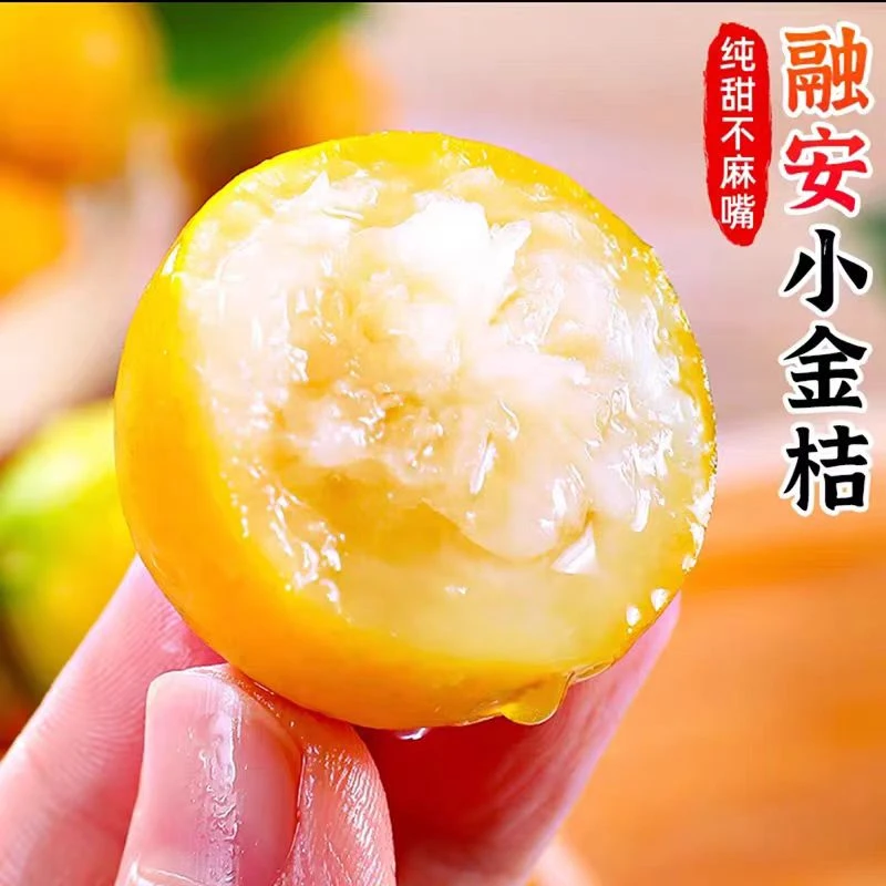 【大降价】正宗广西融安脆皮金桔鲜果当季纯甜小金橘新鲜水果包邮