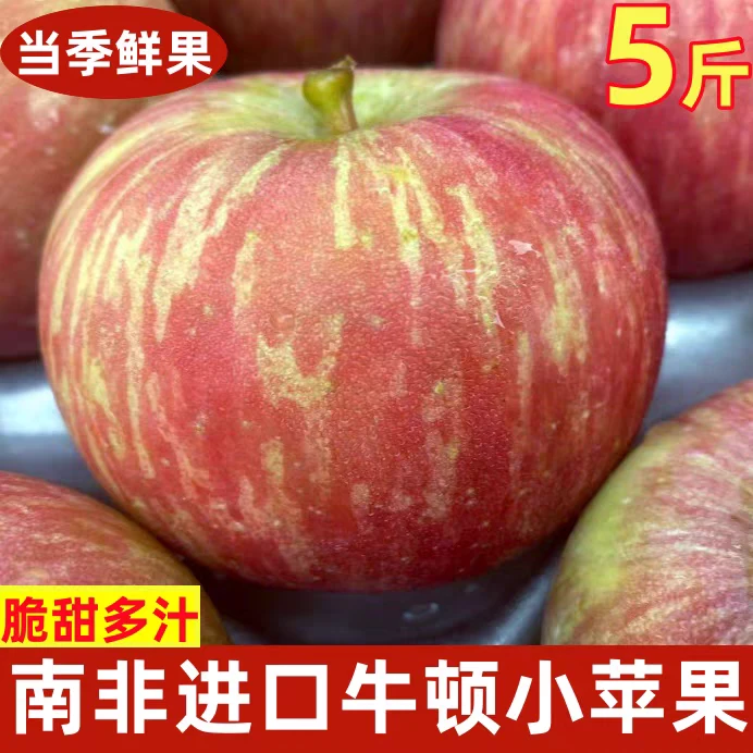 南非牛顿小苹果脆甜多汁进口迷你小苹果当季新鲜水果12个约2.5斤