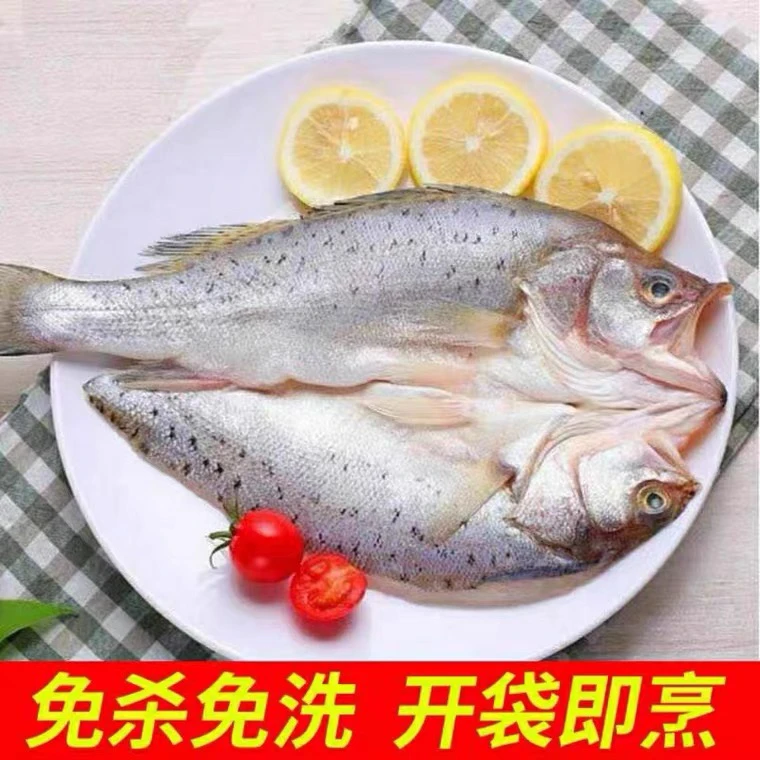 【新疆包邮】开背海鲈鱼（550g-600g/条）新鲜冷冻半成品免处理6条装