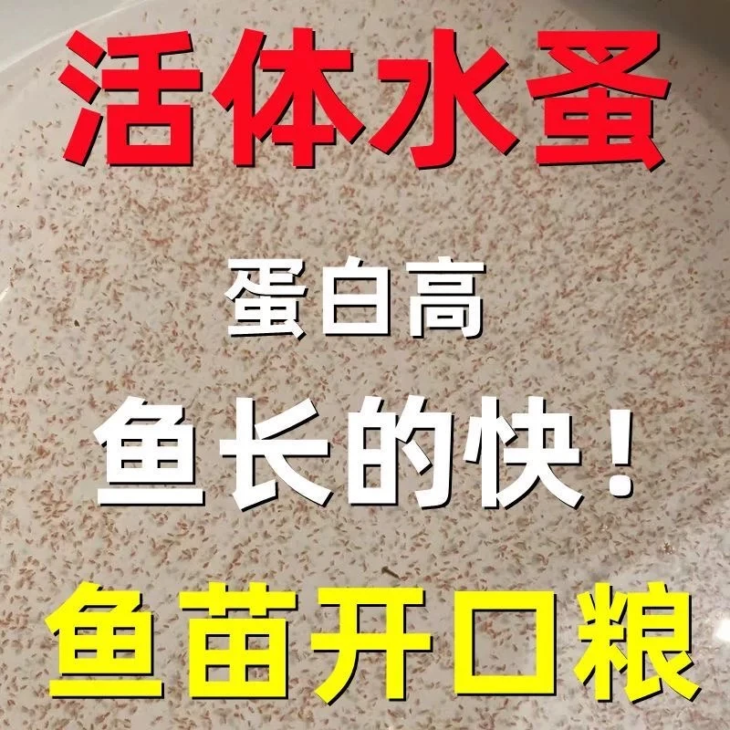 水蚤活苗鱼苗开口高蛋白饲料红虫蹦蹦虫孔雀鱼斗鱼小型观赏鱼饲料