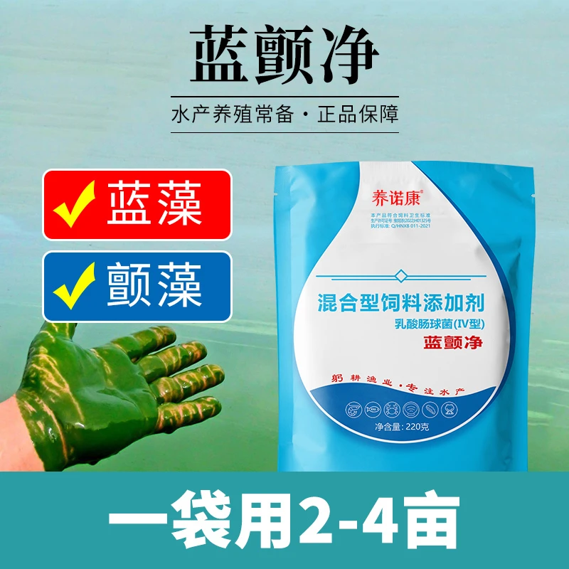 【蓝颤净】蓝藻颤藻裸藻老绿水铁锈水，适用水产养殖常备稀释使用