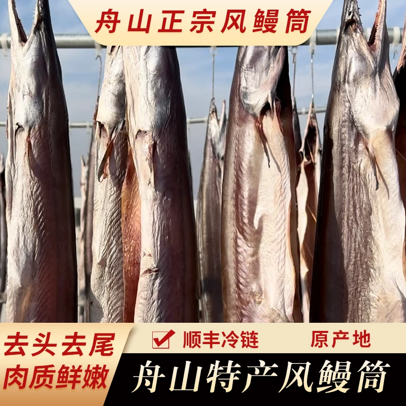 【大号风鳗筒】1-1.3斤/条 舟山野生海捕风鳗筒 整条新鲜 海鲜干货