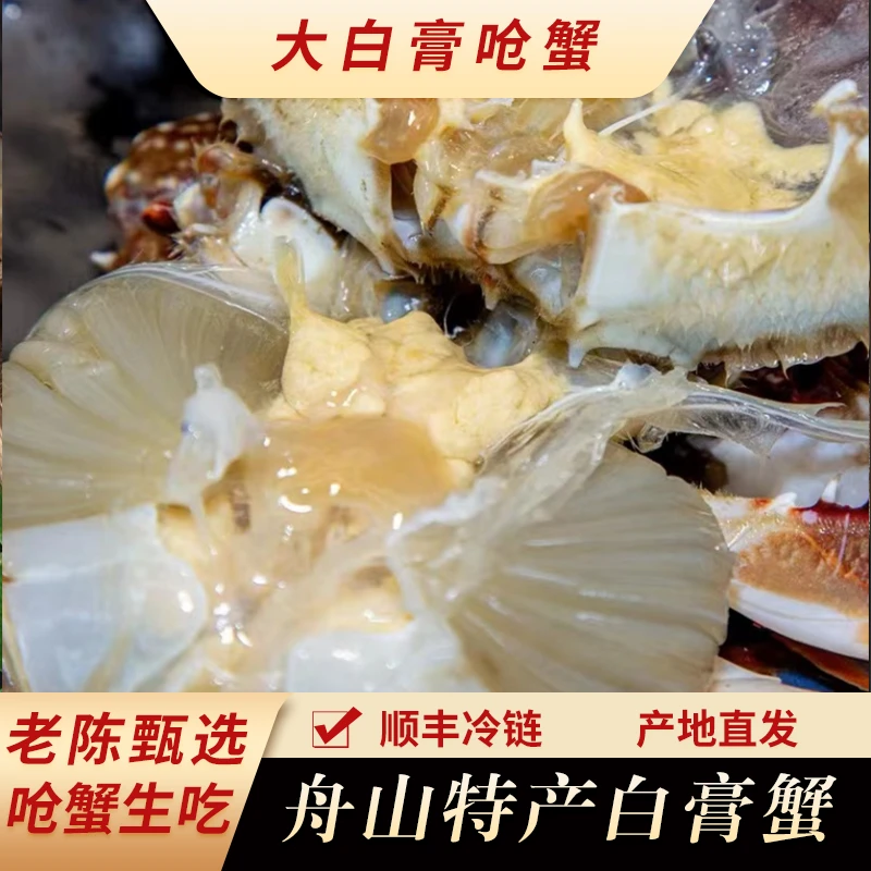 【大大白膏】4-6两 舟山宁波 白膏咸呛蟹 生吃腌制即食（不可蒸煮）