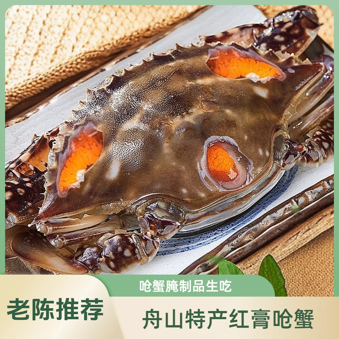 【家庭款大红膏】6-8两 舟山宁波正宗淡红膏呛蟹 腌制品 不可蒸煮