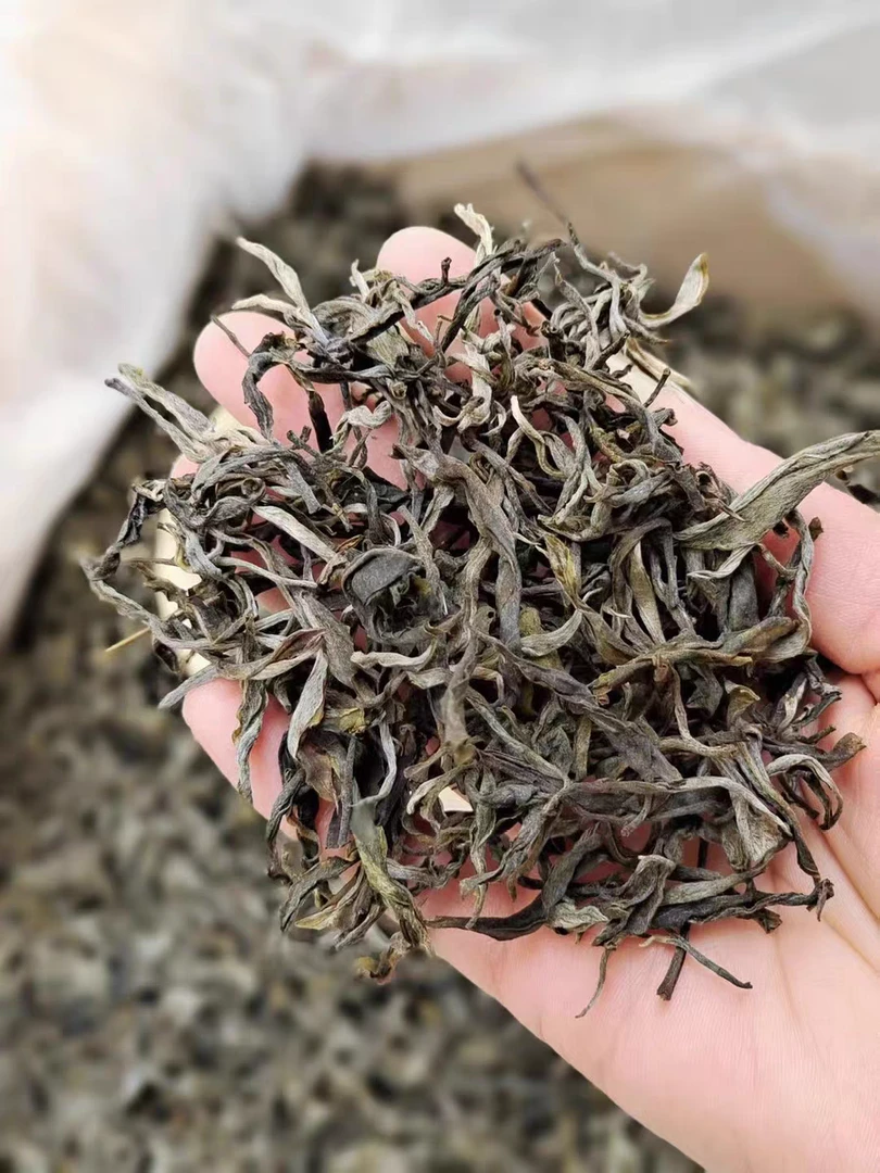 2025年春，（古树单株生茶散茶）兰花冰糖韵