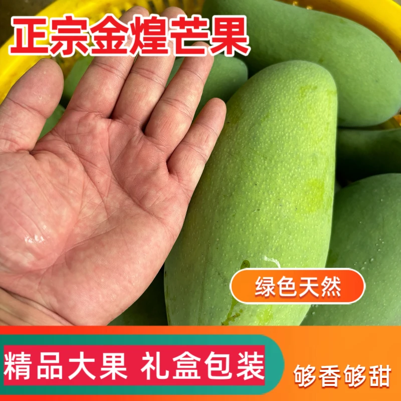 产地直发百色金煌芒果应季水果新鲜爱采摘超大果礼盒包装多汁核薄