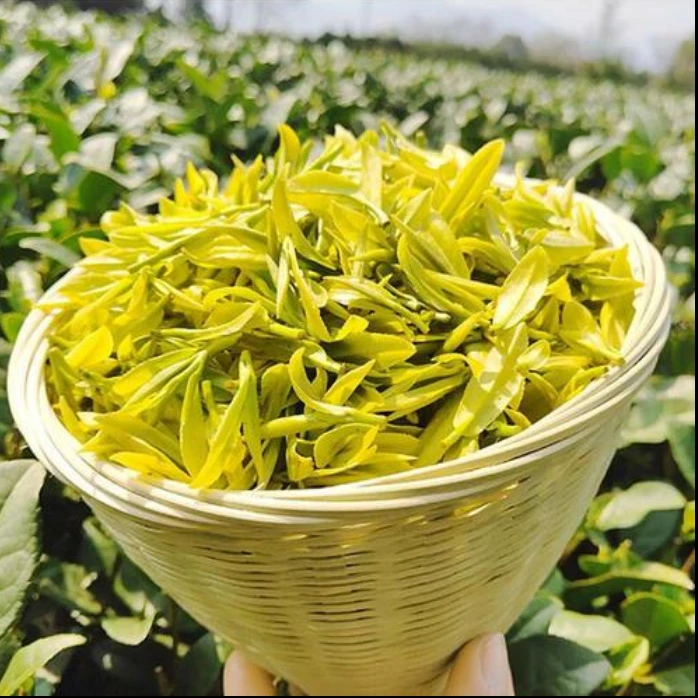 25年新茶A6款明前黄金芽（兰花香）250g/500g 【中秋好物】绿茶茶叶