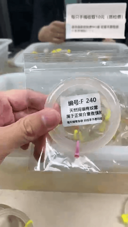 【闪购商品】玛瑙/玉髓手镯未镶嵌57圈口