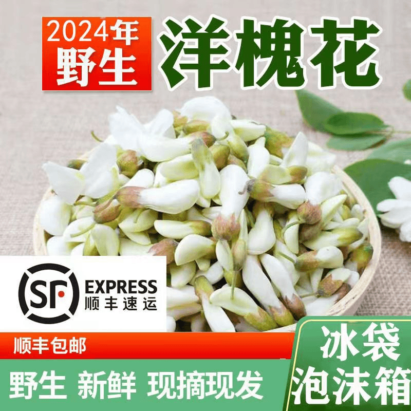 2024年新鲜洋槐花现摘杨槐花野菜蒸菜当季鲜槐花纯骨朵顺风包邮