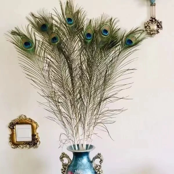 书房佳品孔雀羽毛家里办公室书房装饰落地编织摆件通用学生佳品