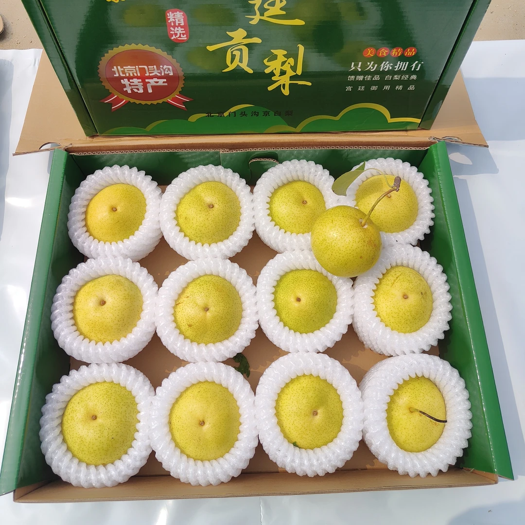 北京特产门头沟京白梨礼盒新鲜多汁包邮五斤