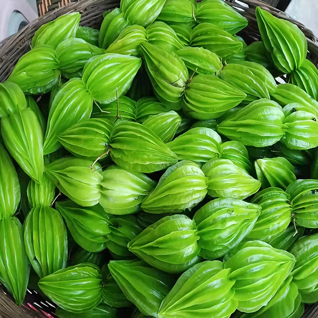 云南野菜新鲜野生小苦瓜苦回甜情人果野山小苦瓜翅果藤应季整箱