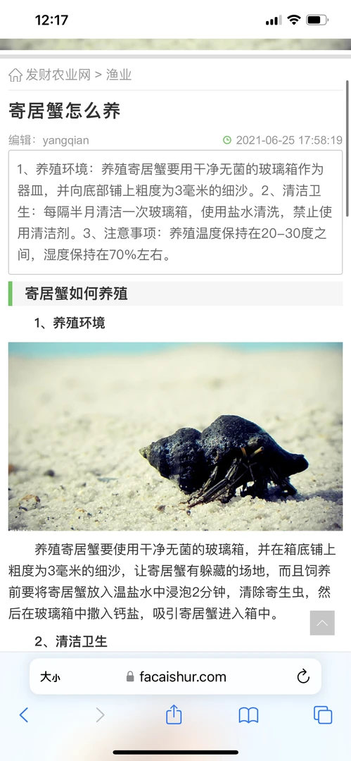 寄居蟹饲养说明