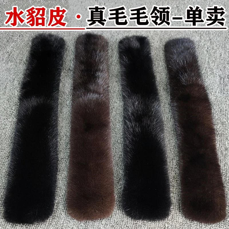 进口水貂毛领子男士通用小立领整皮貂毛毛领男士假领子秋冬假领子
