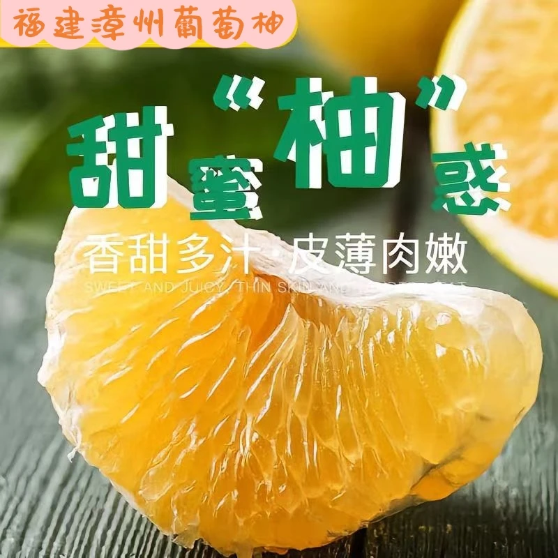 原产地直发福建漳州黄金葡萄柚  精选商品果  柚子  福建漳州发货