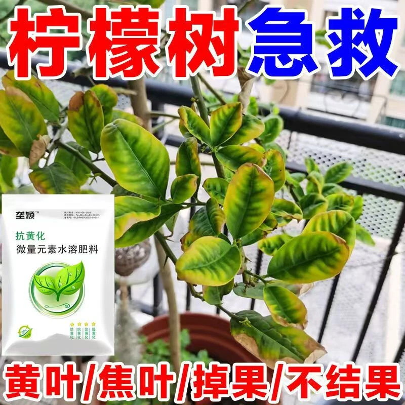柠檬树黄叶病专用果树黄化病叶子发黄花叶卷叶斑病全管抗黄化肥料