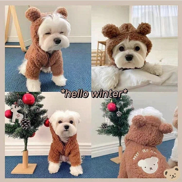狗狗衣服小熊变身装可爱狗狗秋冬装猫咪比熊泰迪约克夏冬季小型犬