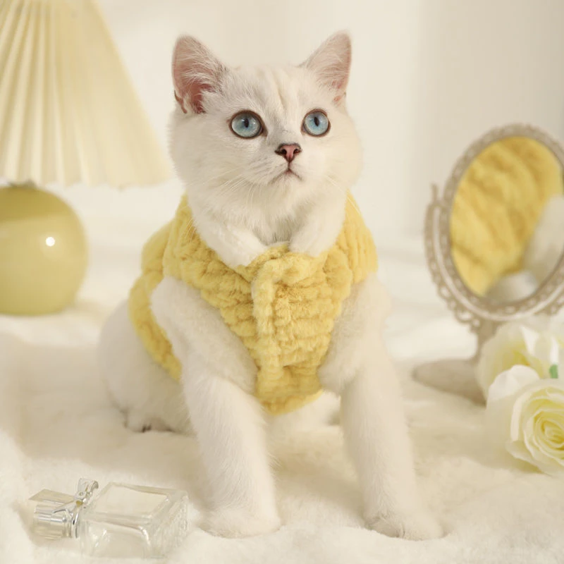 宠物猫咪衣服加绒保暖防掉毛秋冬季银渐层布偶猫幼猫两脚棉衣批发