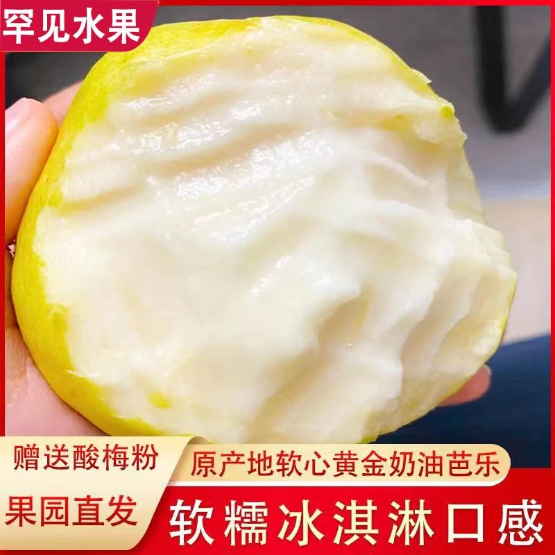 【黄金芭乐】广西奶油芭乐白心潘石榴清甜多汁新鲜采摘当季水果香甜