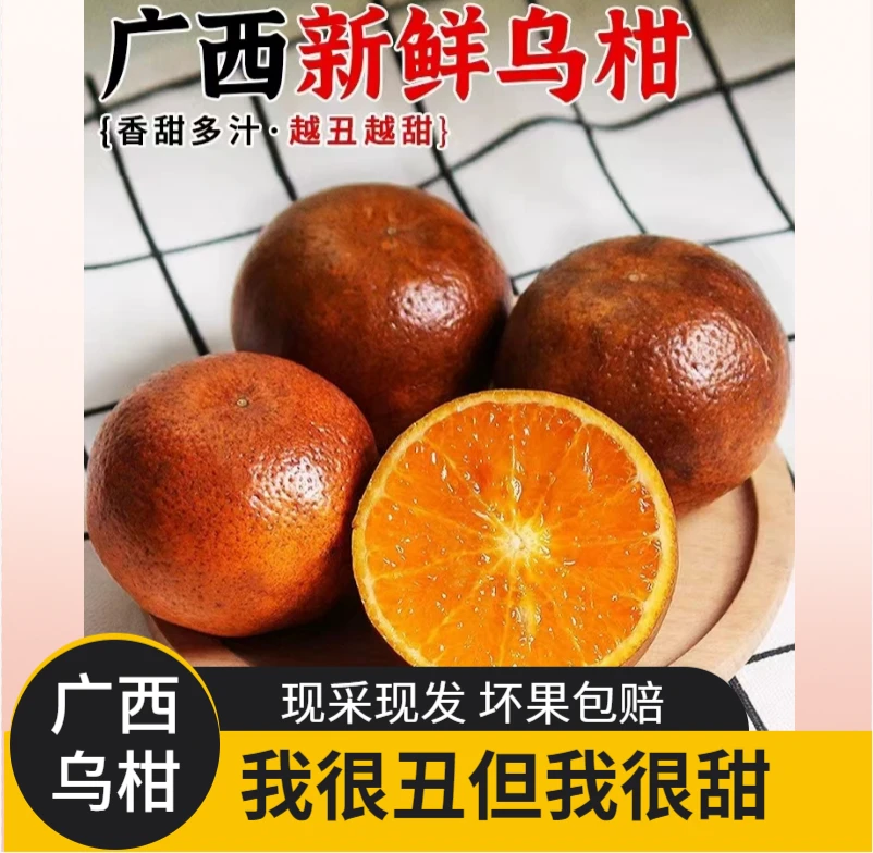 老树乌柑5斤橘子外皮丑口感甜介意丑的勿拍