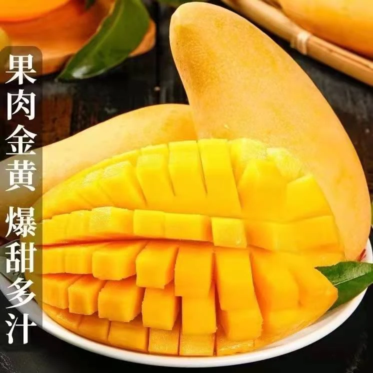 海南金煌芒果大果4.8-5斤3-6个放黄放软食用[慧姐专属]