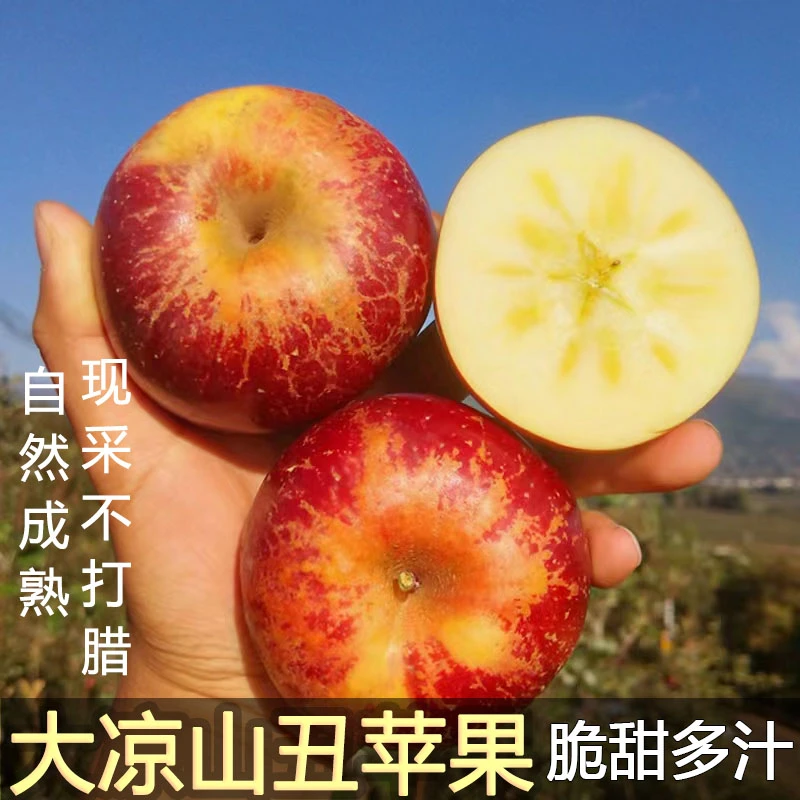 四川大凉山盐源丑苹果【广西仓发货】