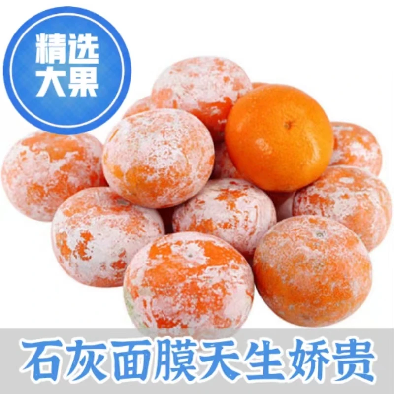 [东北燕子专属]广西茂谷柑5斤10-16个坏果包赔新鲜采摘水果