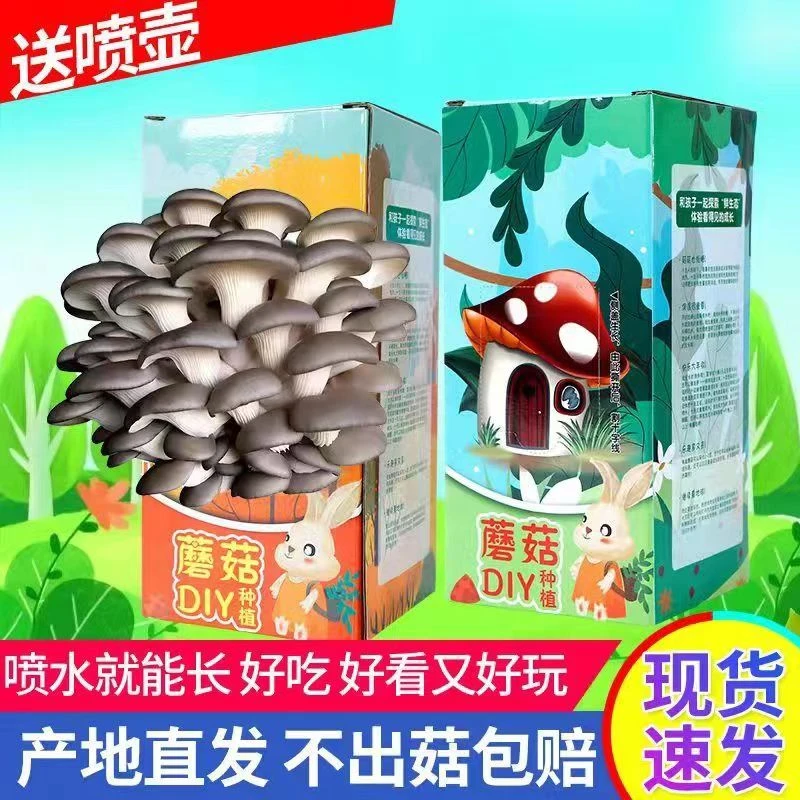 蘑菇盒子种植包儿童种蘑菇菌包食用菌菌种家庭平菇易种植菌菇种盒