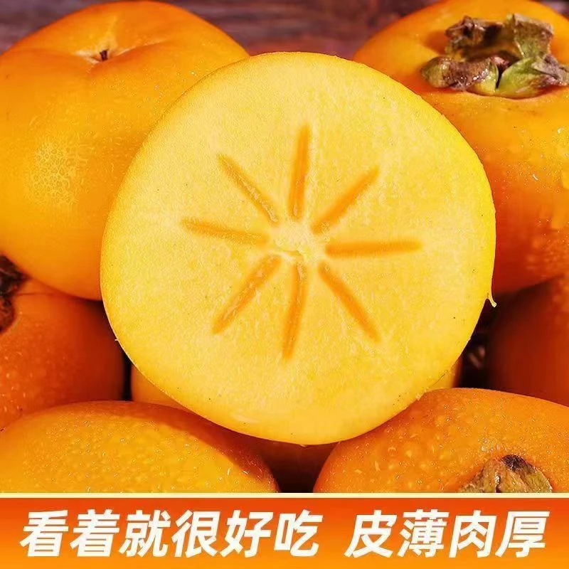 广西桂林高山脆柿子脆甜大果新鲜甜脆柿锁鲜真空包装皮薄肉厚紧实