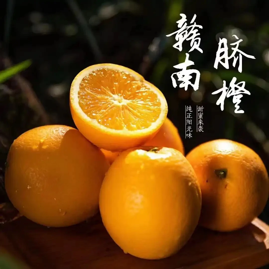 正宗赣南脐橙 新鲜当季橙子信丰核心产区9斤