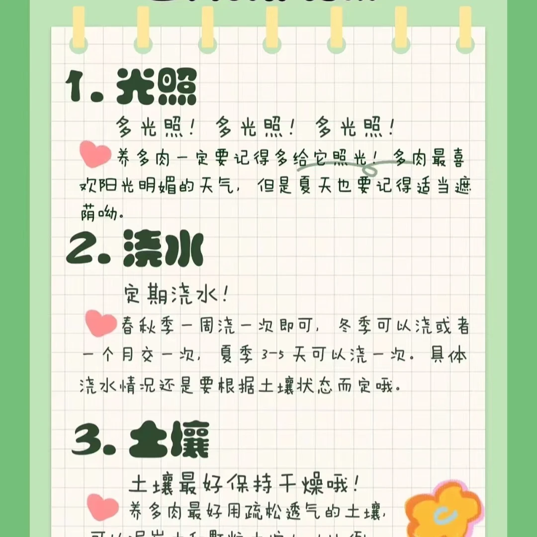 穴盘胭脂冰玉土球50颗（以直播间展示为准）