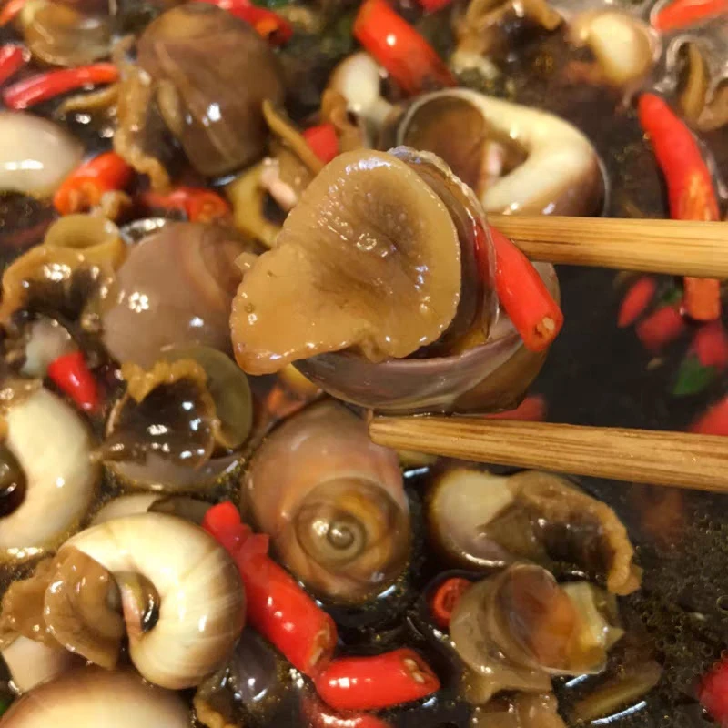 惊喜特卖捞汁小海鲜 捞汁猫眼螺 香螺300g到手3罐