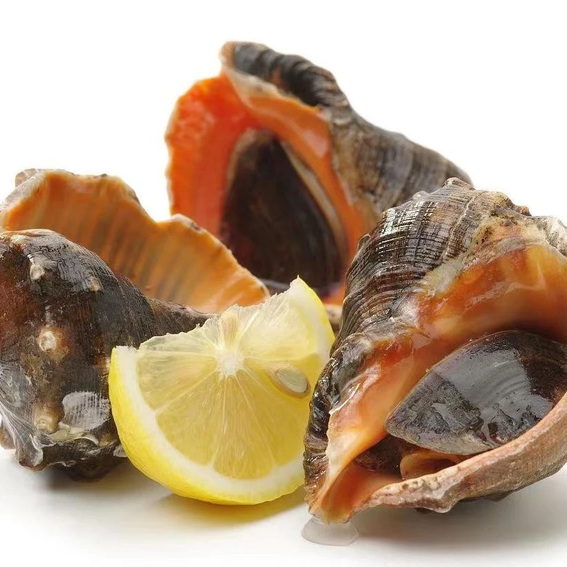 【大洋生鲜|新疆包邮】深海小海螺1.5kg