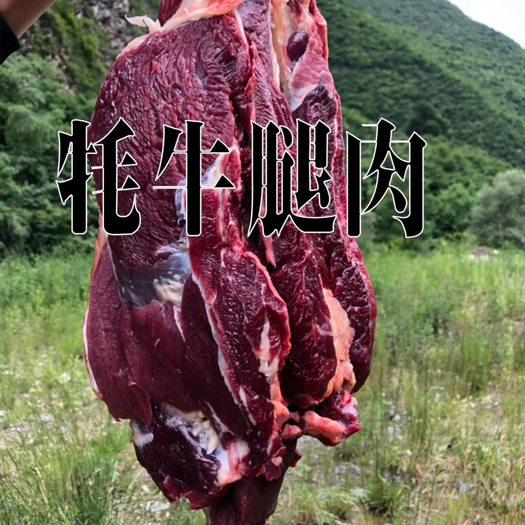 腿肉 牦牛肉5斤 顺丰包邮
