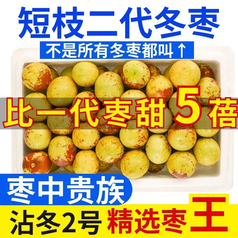 短枝二代[冰糖冬枣]正宗沾化脆甜冬枣当季新鲜水果现摘现发5斤装