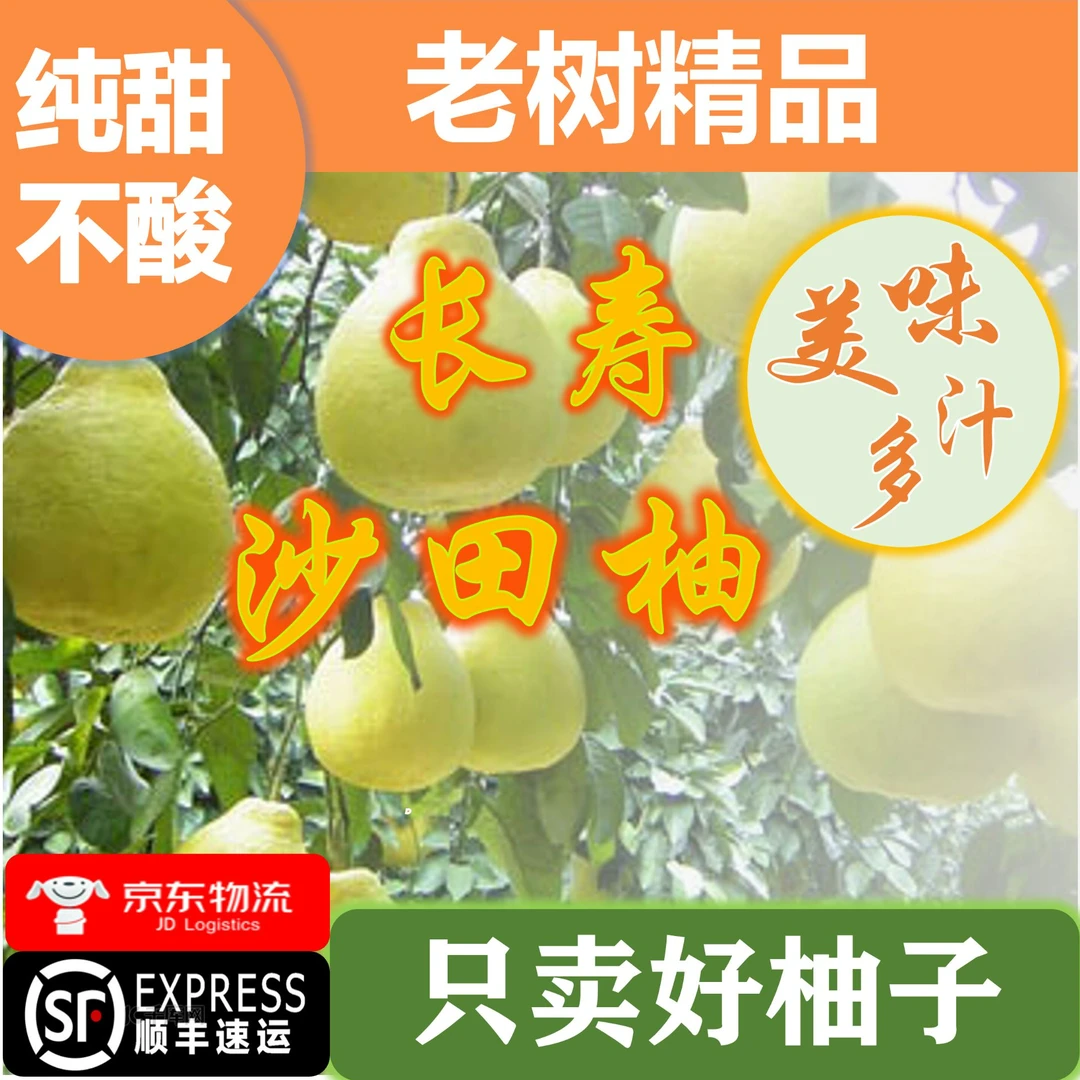 【10个】长寿区沙田柚老树柚子水果清甜多汁不酸京东顺丰